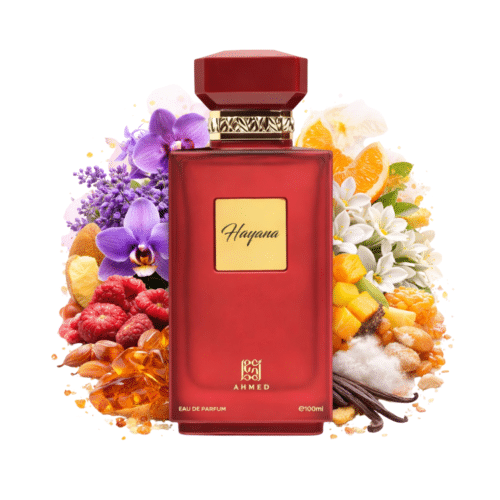 Ahmed Al Maghribi Hayana