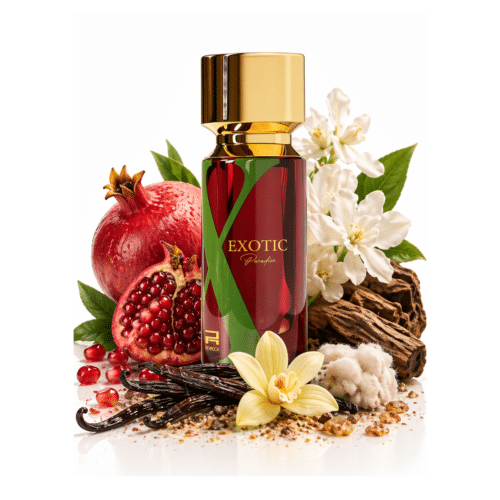 EXOTIC Paradise Rue Broca