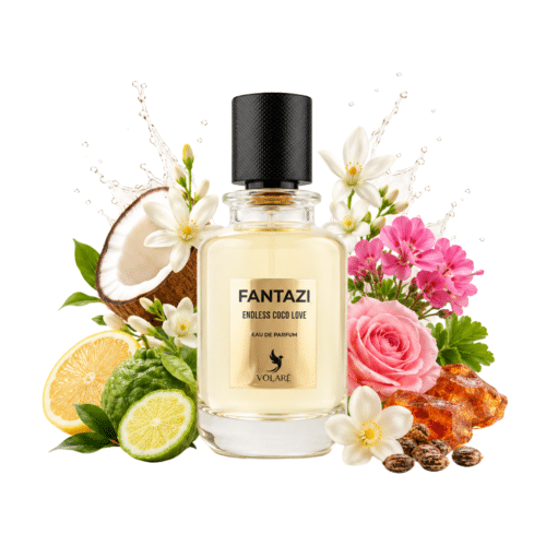 Volare Fantazi, Endless Coco Love